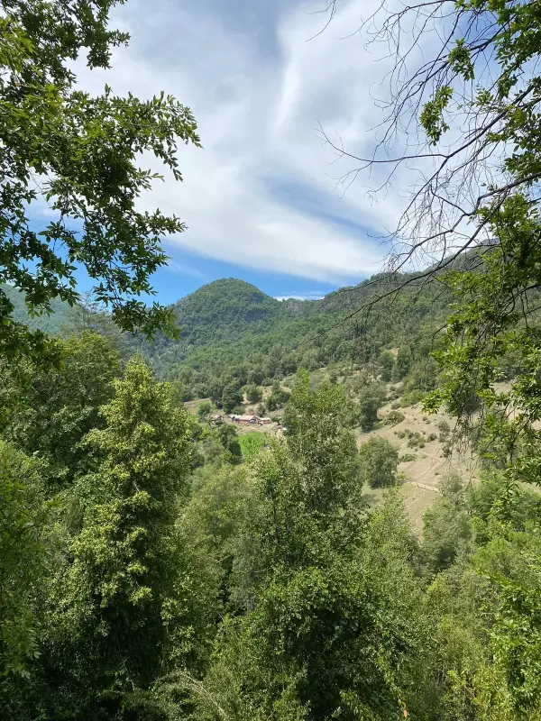 Parcela con cabaña en venta en Condominio Chiquillanes, Molina, foto 6