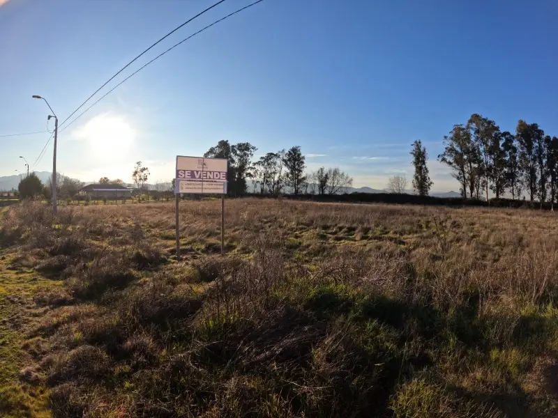Letrero de venta de Rocamora Propiedades en una parcela de Santa Elba, Teno, al amanecer
