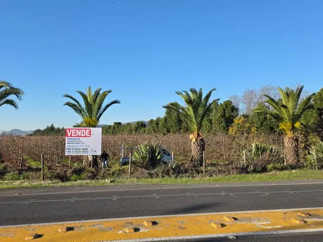 Parcelas en venta en camino a Los Niches, km 5,2, foto 7