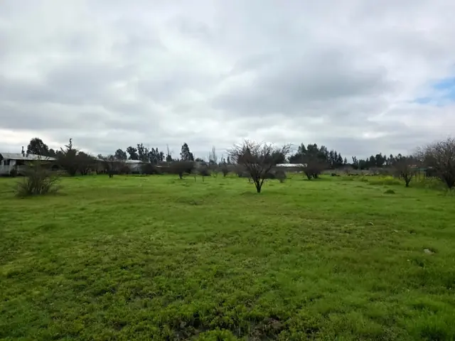 Parcela en venta en Loteo Quebradilla de Lumaco, Rauco, foto 9