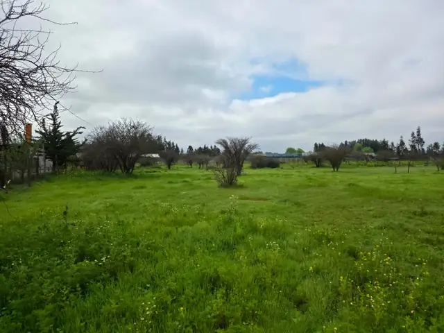 Parcela en venta en Loteo Quebradilla de Lumaco, Rauco, foto 14