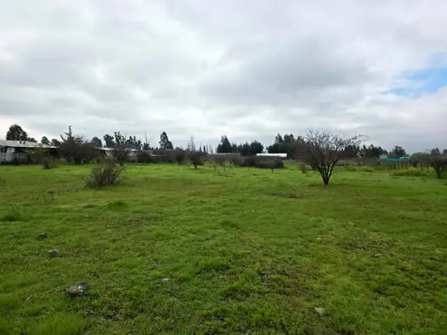 Parcela en venta en Loteo Quebradilla de Lumaco, Rauco, foto 19