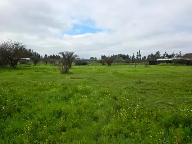 Parcela en venta en Loteo Quebradilla de Lumaco, Rauco, foto 23