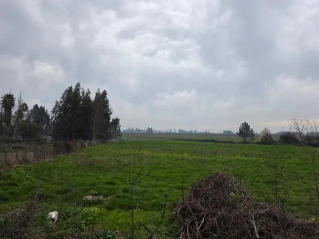 Parcela en venta en La Montaña, Teno, foto 7