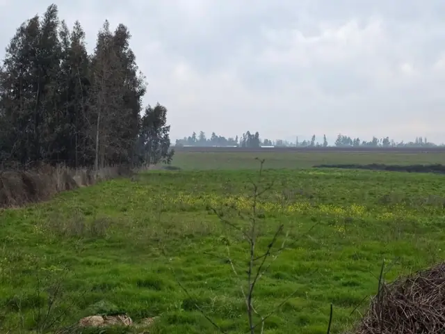 Parcela en venta en La Montaña, Teno, foto 10