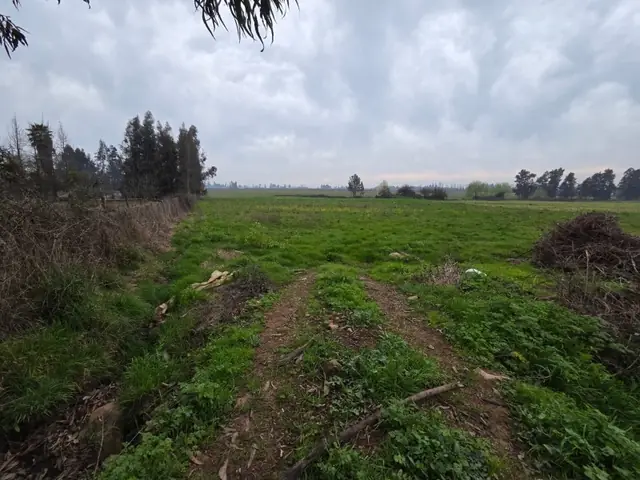 Parcela en venta en La Montaña, Teno, foto 11
