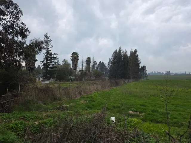 Parcela en venta en La Montaña, Teno, foto 12