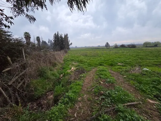 Parcela en venta en La Montaña, Teno, foto 14