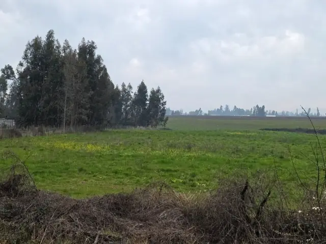 Parcela en venta en La Montaña, Teno, foto 17