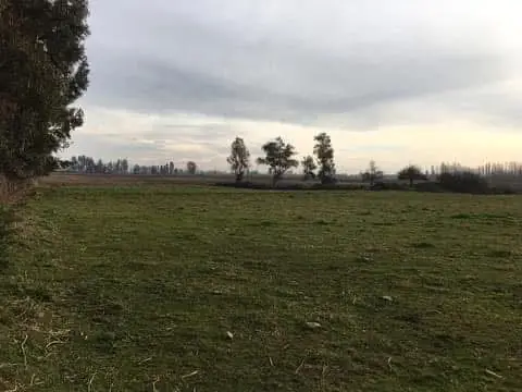 Parcela en venta en La Montaña, Teno, foto 19